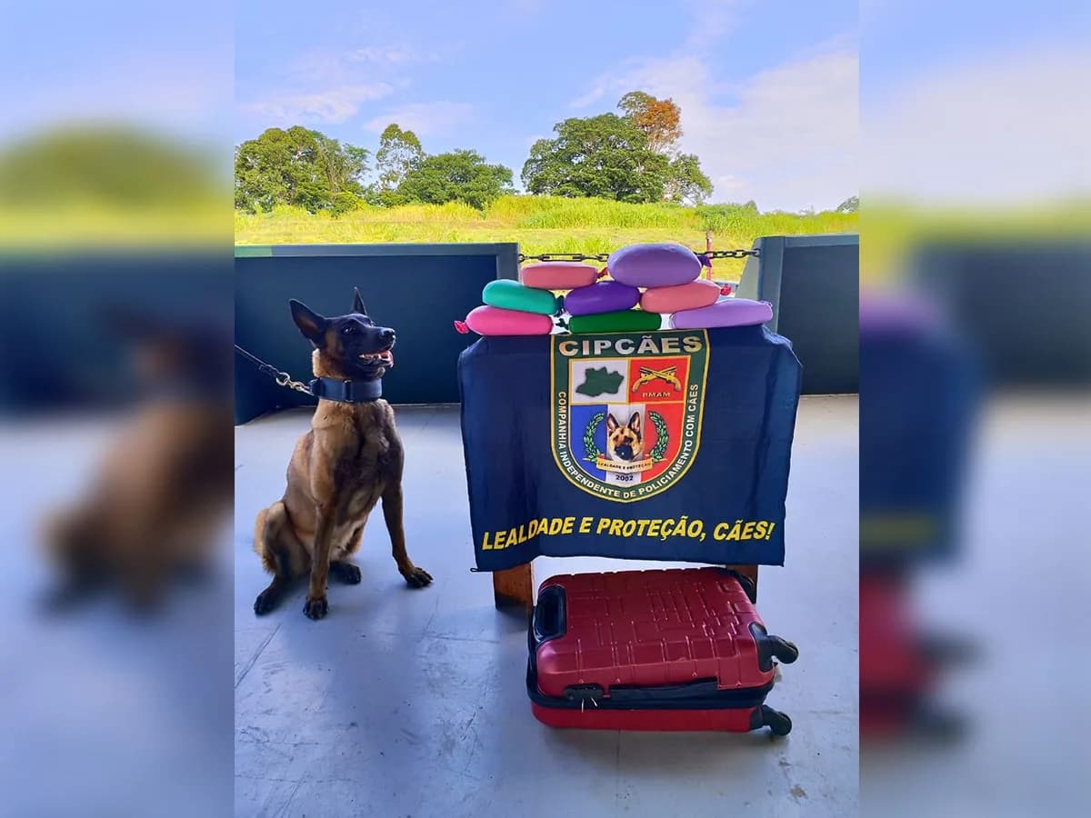Em Coari, homem é preso transportando 9 kg de cocaína na bagagem