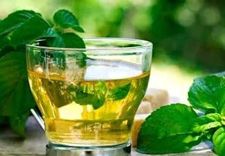 Rica em fibras, promove a saciedade e ajuda na digestão: Veja os benefícios do chá de ora-pro-nóbis