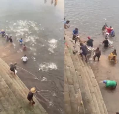 VÍDEO: ‘benção de jaraqui’, em Manacapuru peixes pulam nas redes de pesca após forte chuva