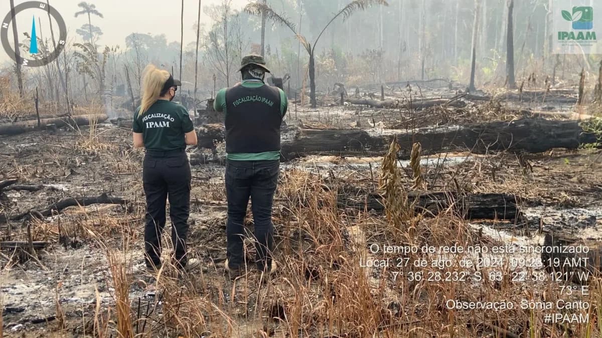 Fiscalizações ambientais do Ipaam crescem 281,38% no Amazonas