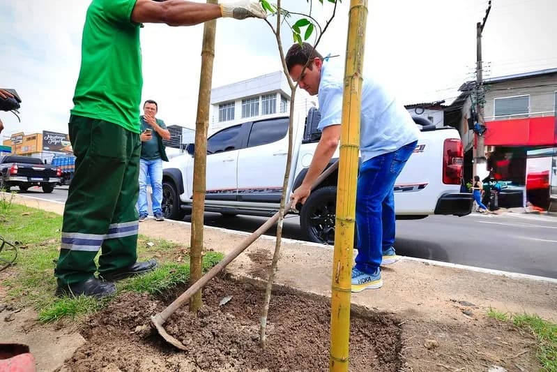 Arborização: Prefeitura anuncia plantio de 15 mil mudas em Manaus