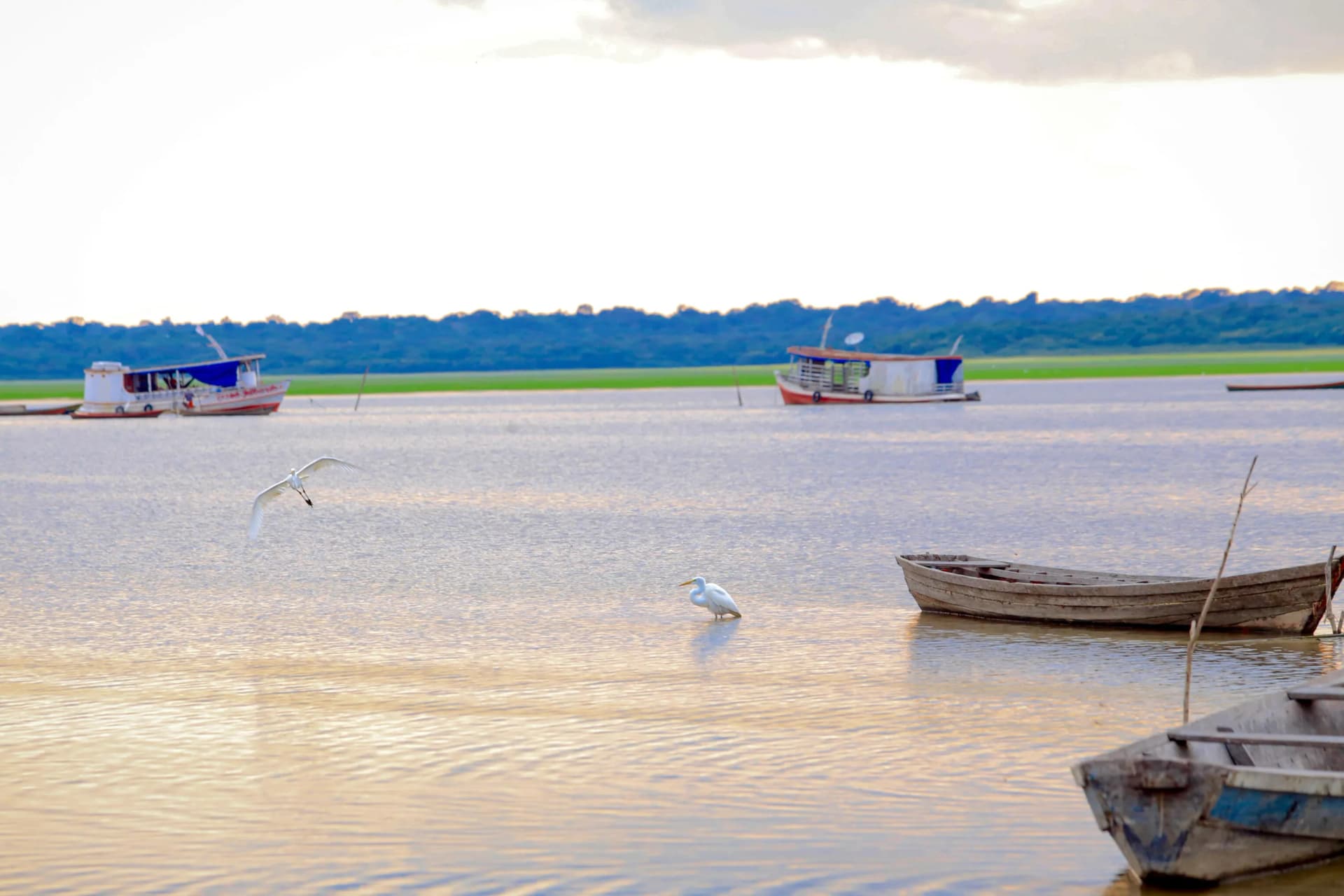 Por conta de escassez de peixes, Prefeitura de Coari estabelece novas regras para pesca no município