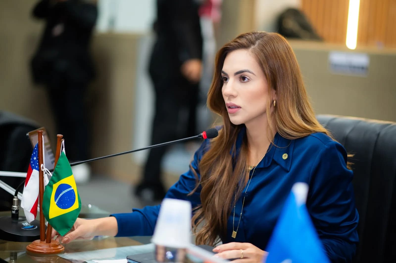 Débora Menezes tem projeto contra linguagem neutra aprovado na Aleam e questionado pelo STF