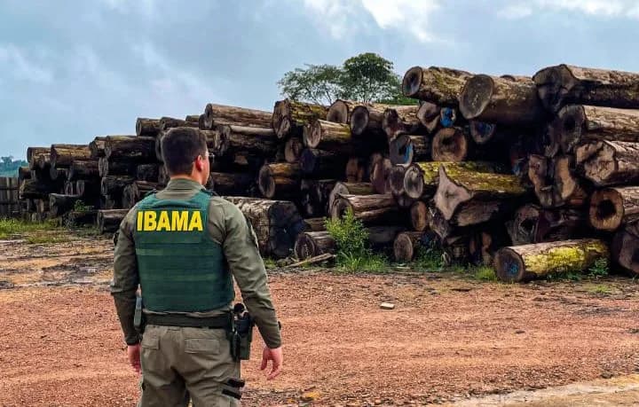 DESMATAMENTO: 110 empresas são alvo de operação do Ibama no Amazonas e outros estados