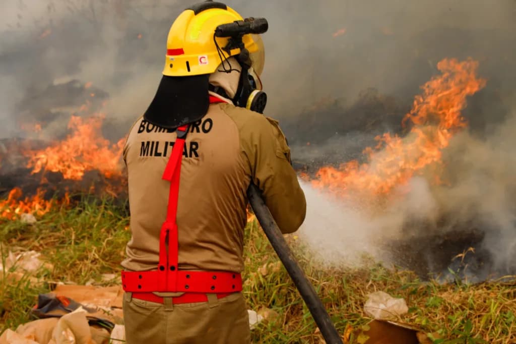 Amazonas aposta em educação ambiental para prevenir novas queimadas
