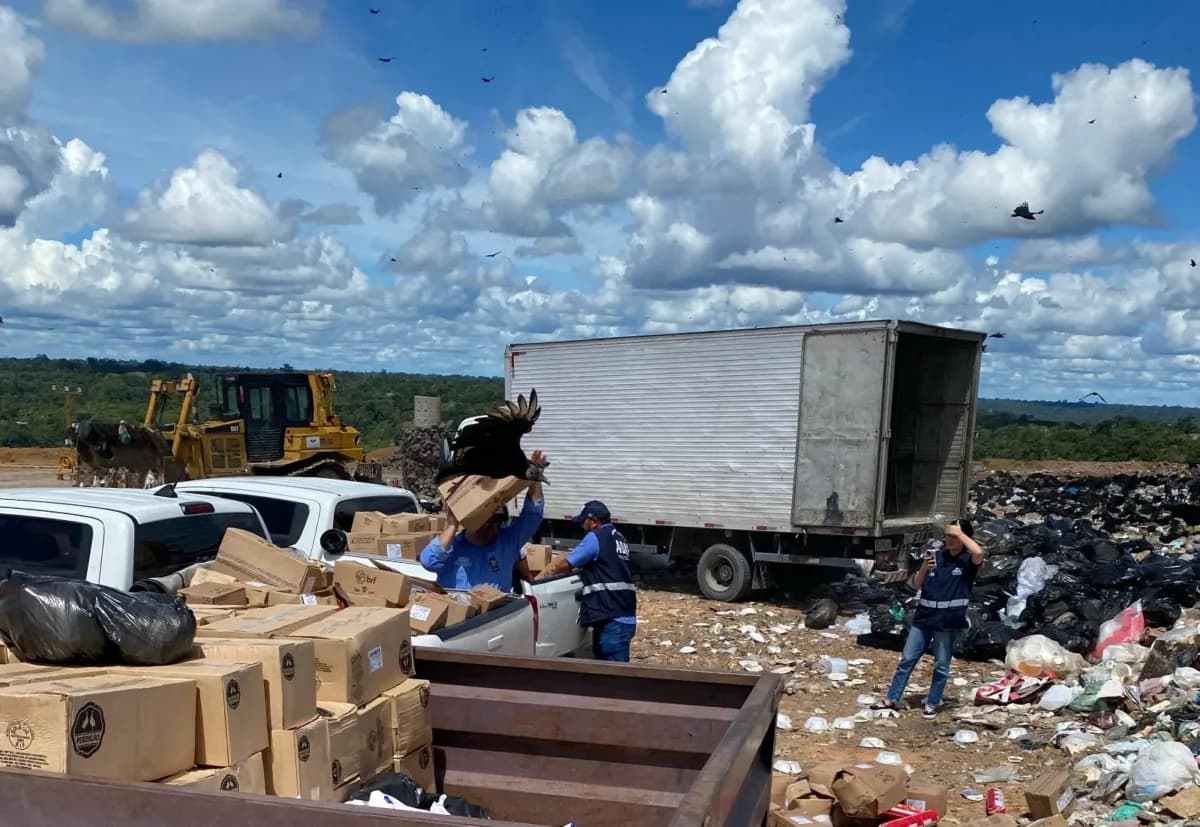 Quase 7 toneladas de alimentos vencidos são apreendidos em Manaus