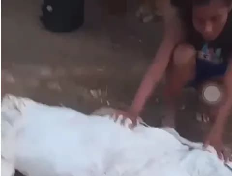 VÍDEO: Irmã chora sobre corpo de homem morto após confronto com a polícia no Amazonas