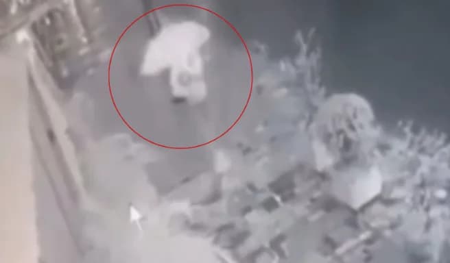 VÍDEO: Mulher sofre choque elétrico ao esbarrar em cabo no DF