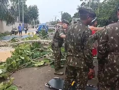 VÍDEO: Árvore cai e mata mulher que passava de moto em Tefé