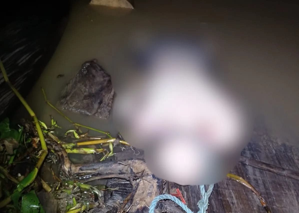 IMAGEM FORTE: Pescador encontra corpo em estado de decomposição em rio de Manacapuru