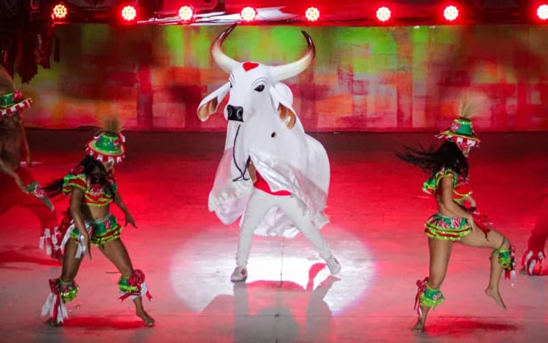 Boi Garantido lança clipes de coreografias de 2025 e sai na frente na preparação para o Festival de Parintins
