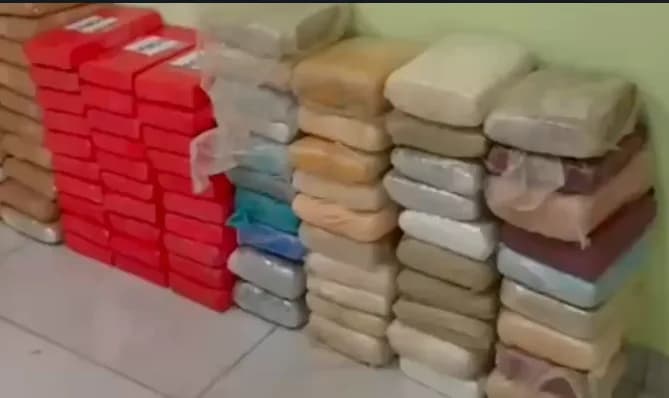 Polícia apreende 280 kg de drogas e desmantela tráfico interestadual no AM