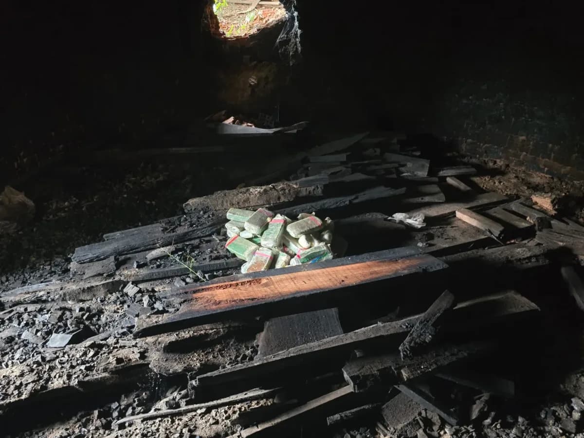 Drogas avaliadas em meio milhão de reais são incineradas em Apuí