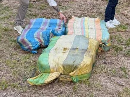 Polícia apreende 156 kg de maconha avaliados em R$ 3,2 milhões em Manaus