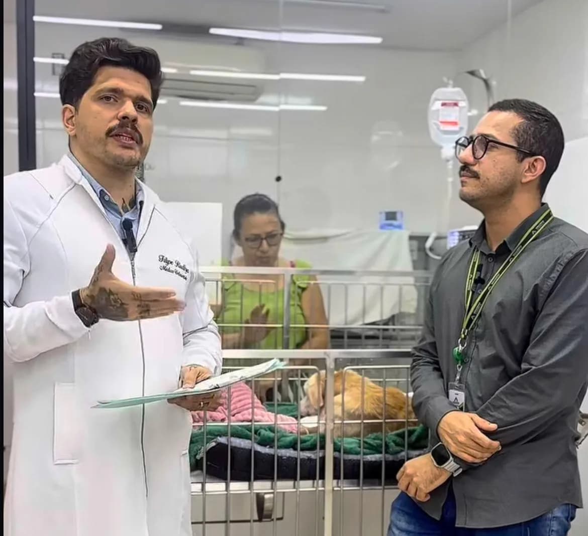 Cadela ‘Madonna’ vai passar por cirurgia após ser atropelada por funcionário da Amazonas Energia