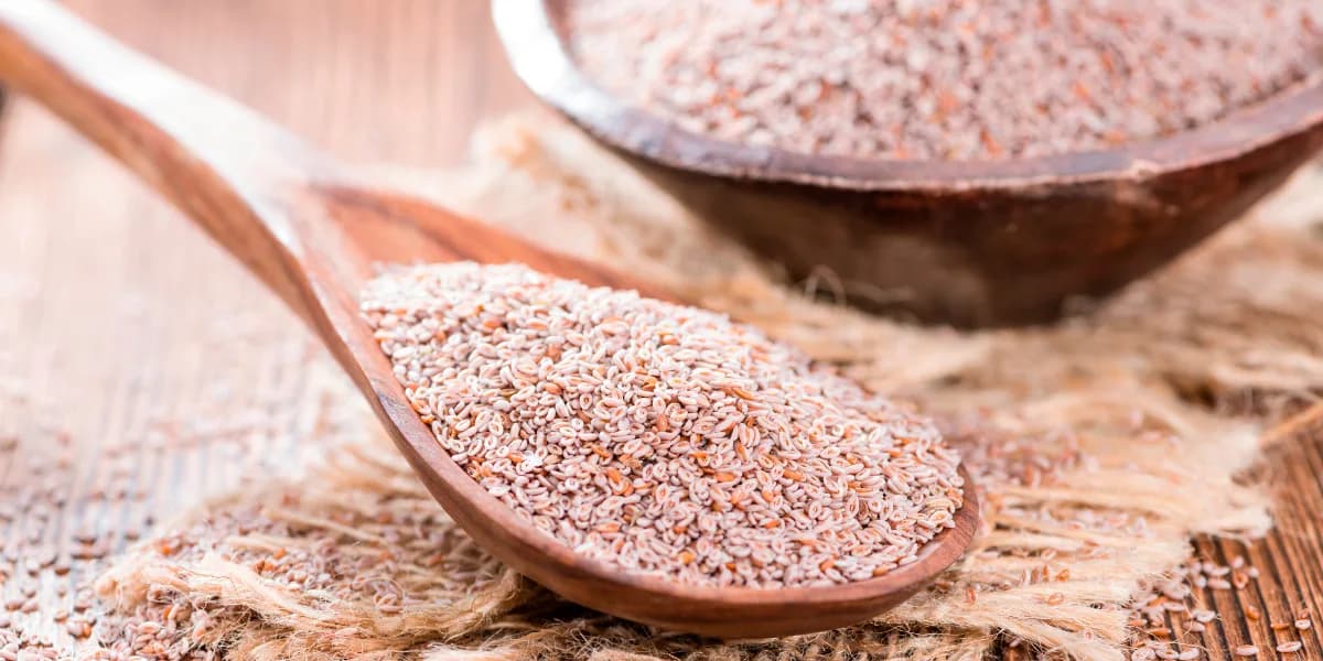 Psyllium emagrece? Saiba como essa fibra age no corpo, segundo especialistas