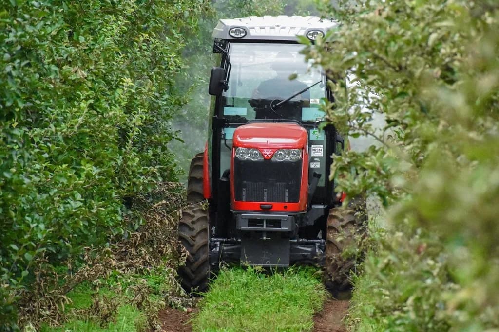 Agronegócio no Amazonas cresce mesmo com seca histórica