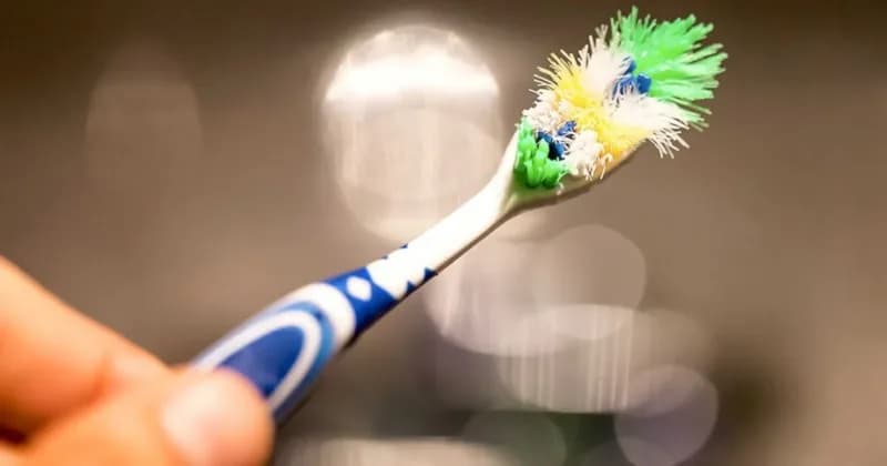Escova de dentes mal cuidada pode causar doenças graves