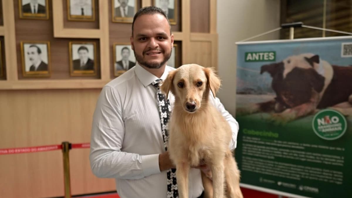 ‘UBS Animal’ tramita na Câmara de Manaus para atender famílias de baixa renda e serviços gratuitos