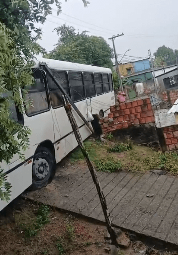 VÍDEO: ônibus colide com árvore no bairro Colônia Antônio Aleixo