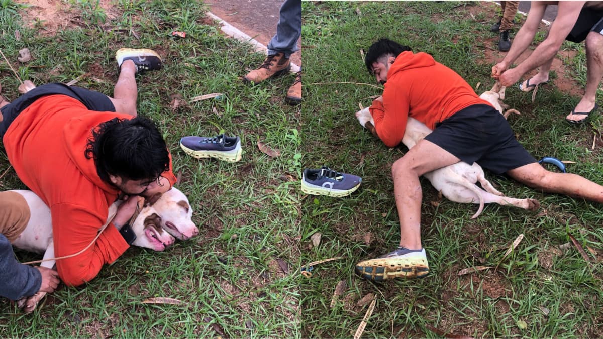 VÍDEO: Lutador é atacado e consegue imobilizar 2 pitbulls no Mato Grosso do Sul