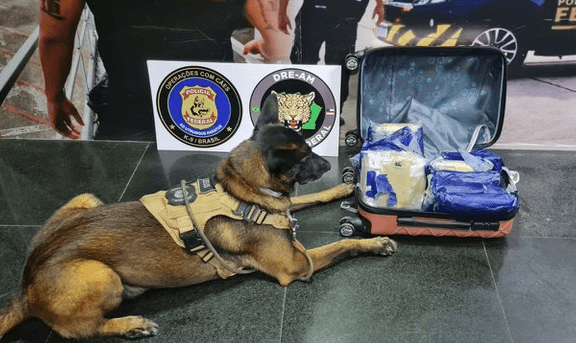 Passageira é presa com cerca de 9 kg de skunk no aeroporto de Manaus