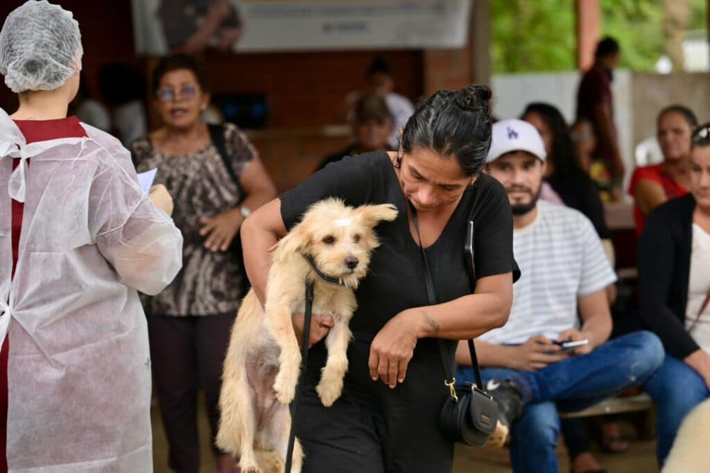 Remédios para cães e gatos podem ficar mais baratos com novo projeto
