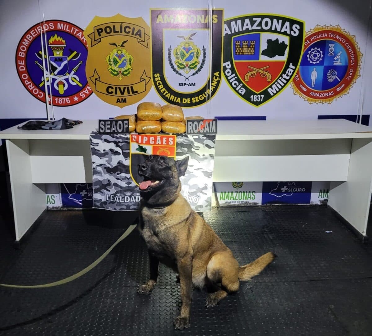 Mulher é presa com 12 kg de drogas dentro de mala em Coari