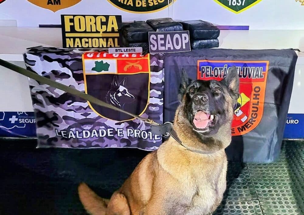 Polícia apreende 6 tabletes de cocaína avaliados em R$ 500 mil, em Coari