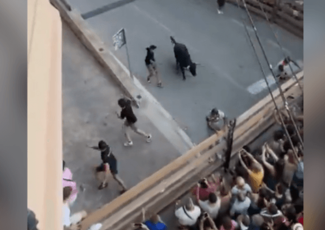 VÍDEO: Touro escapa de recinto e fere três pessoas durante festa na Espanha