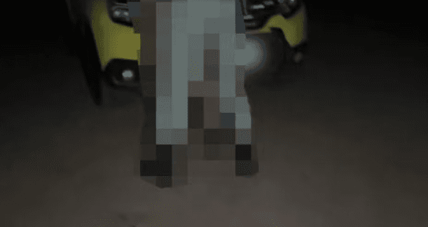 Policial do Paraná é investigado por fazer sexo fardado durante abordagem; vídeo foi parar em site adulto