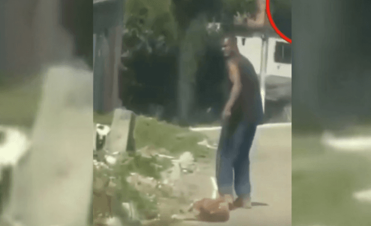 VÍDEO: Homem é flagrado arrastando cachorro com corda e patas amarradas, no interior do Rio