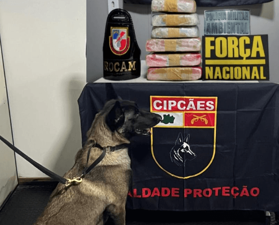 Mãe e filha são presas em embarcação com drogas escondidas nos corpos no Amazonas