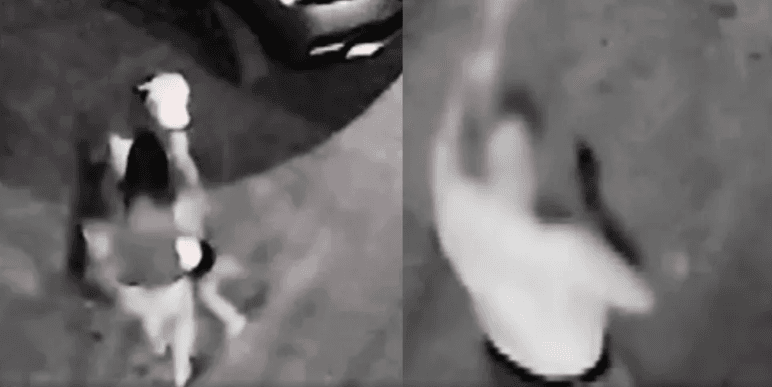 Menino de 4 anos é atacado por pitbull em frente de casa na BA