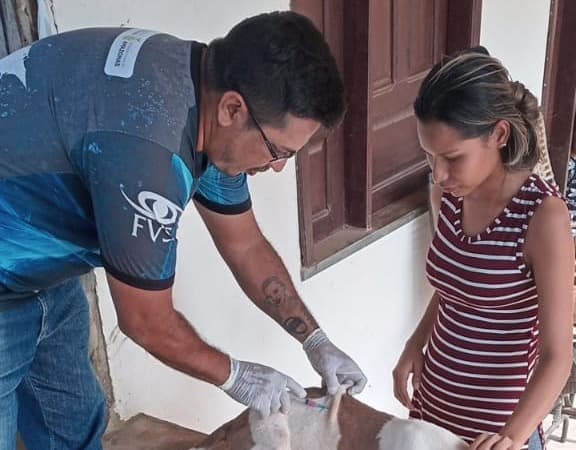 Dia Nacional de Combate à Raiva: 64% dos municípios do Amazonas atingem meta de vacinação