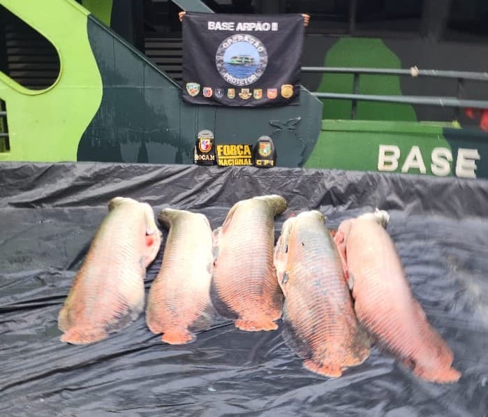 Polícia apreende 240 kg de pirarucu transportados ilegalmente em embarcação