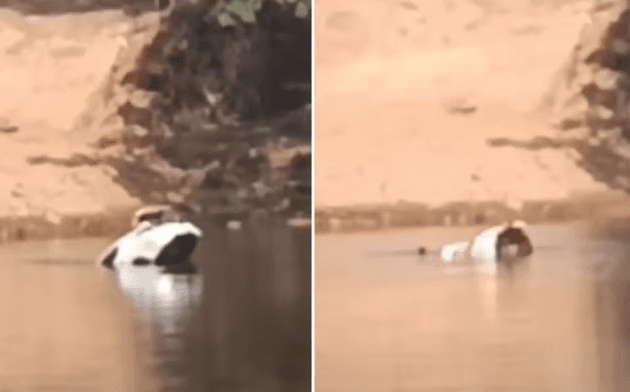 Turista morre após carro cair em rio; amiga escapa pelo porta-malas em Goiás