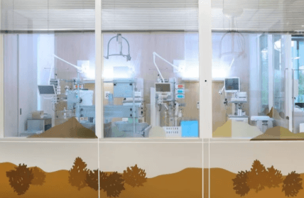 Mulheres descobrem que foram trocadas na maternidade depois de 20 anos