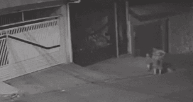 Grávida de gêmeos é atropelada em Guarulhos; motorista foge sem prestar socorro