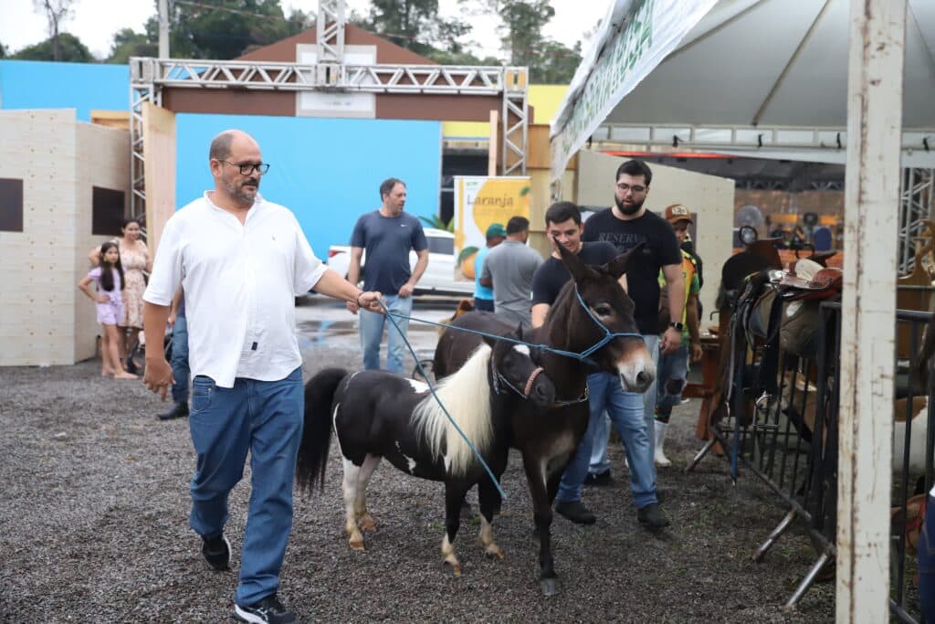 Agenda Cultural: Fim de semana em Manaus tem Expoagro, exposições e eventos culturais grátis