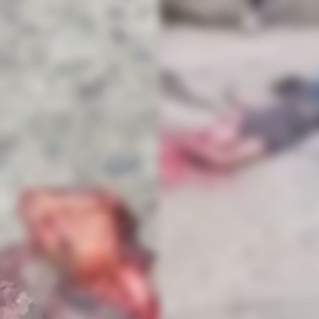 Colombiano morre atropelado por carreta e tem coração arrancado em acidente