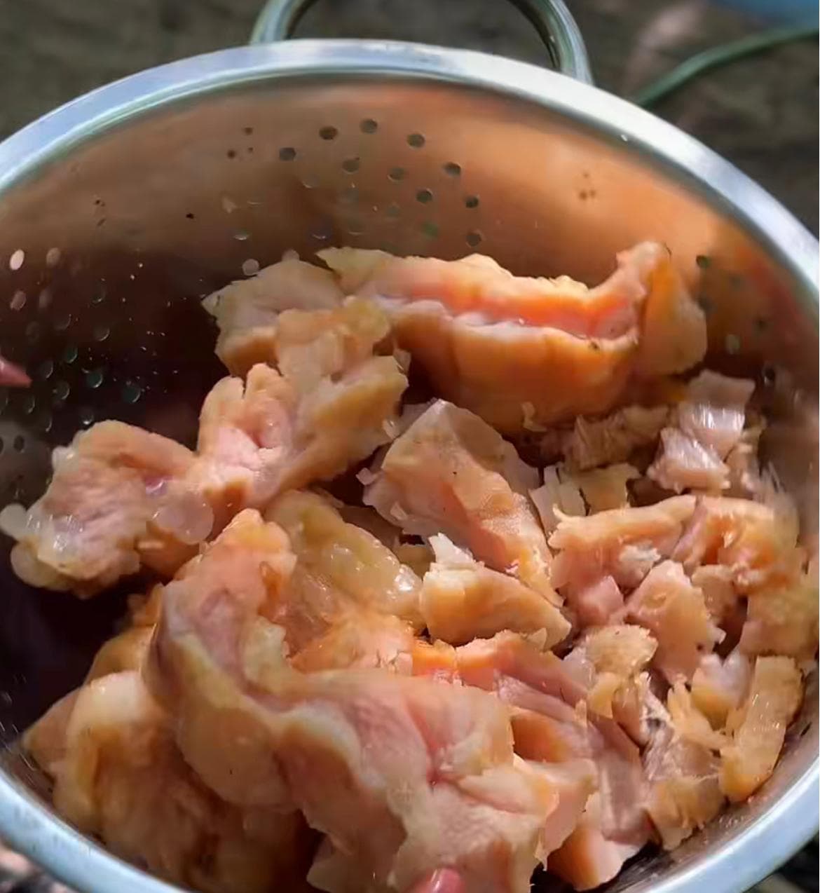 Influenciadores despertam curiosidade ao exibirem sabores exóticos da Amazônia