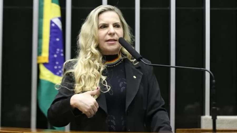 Israel deporta mais de 130 ativistas que tentaram ir a Gaza; deputada do PT continua detida