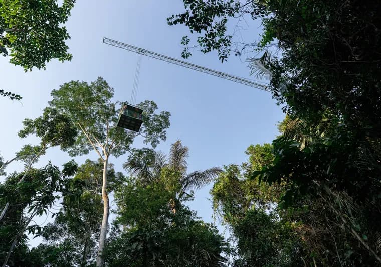 Conheça hotel na Amazônia que criou ‘guindaste’ para observação da floresta