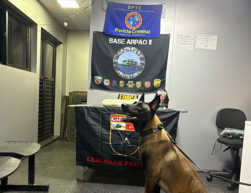 Mulher é presa com aproximadamente cinco quilos de cocaína escondidos em barco