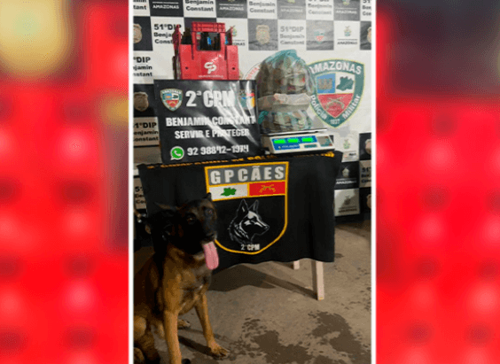 Droga avaliada em R$ 805 mil é apreendida no porto de Benjamin Constant