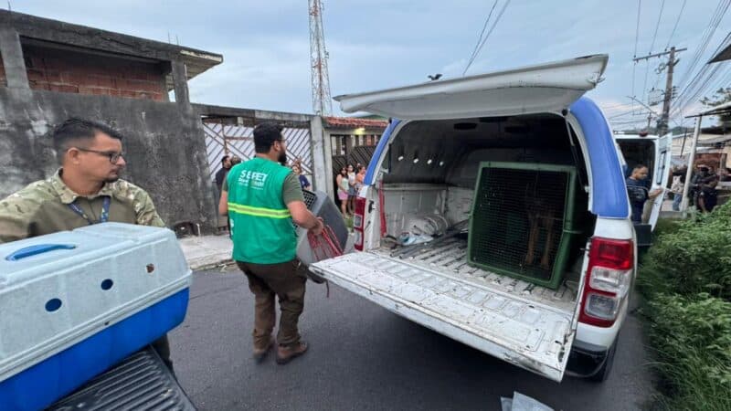 IMAGENS FORTES: Cães morrem de fome e são devorados por outros animais abandonados em Manaus