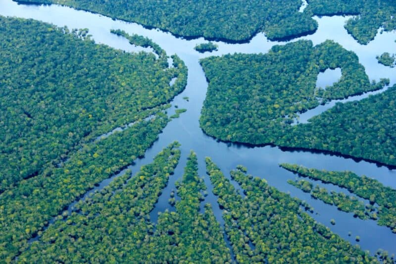 Amazonas tem a menor taxa de desmatamento desde 2017, aponta levantamento