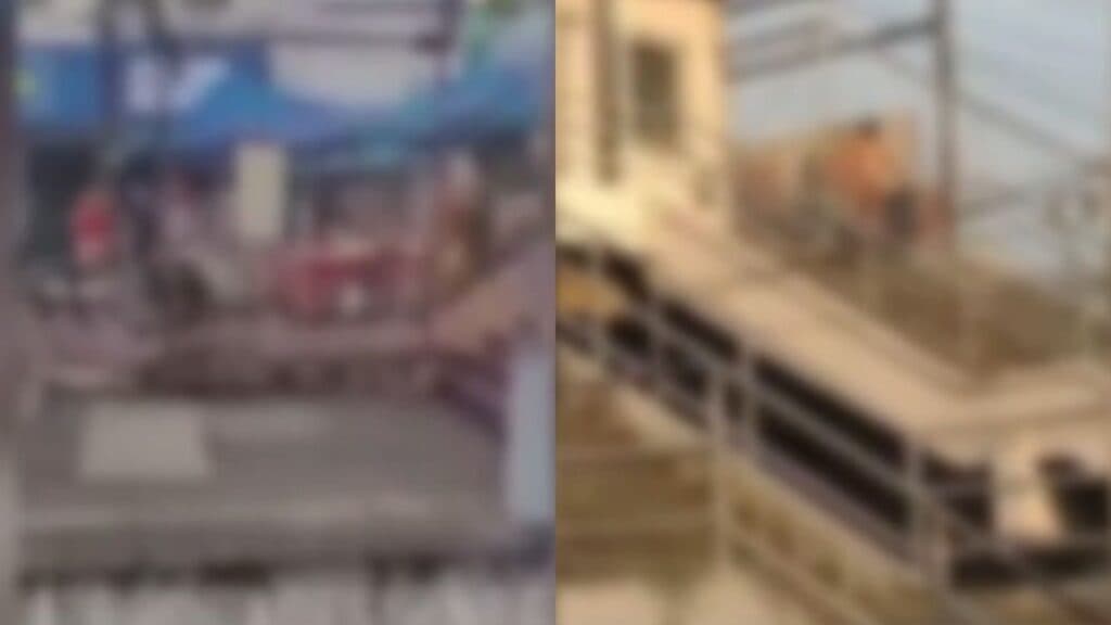 VÍDEO: Mulher nua causa confusão em estação no Rio de Janeiro
