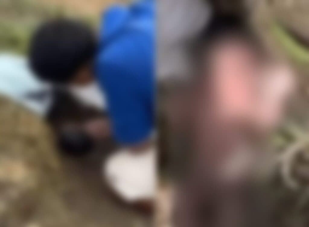 Recém-nascida é encontrada abandonada em área de mata no Espírito Santo